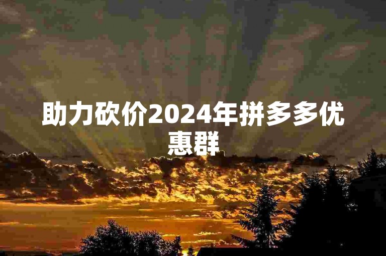 助力砍价2024年拼多多优惠群