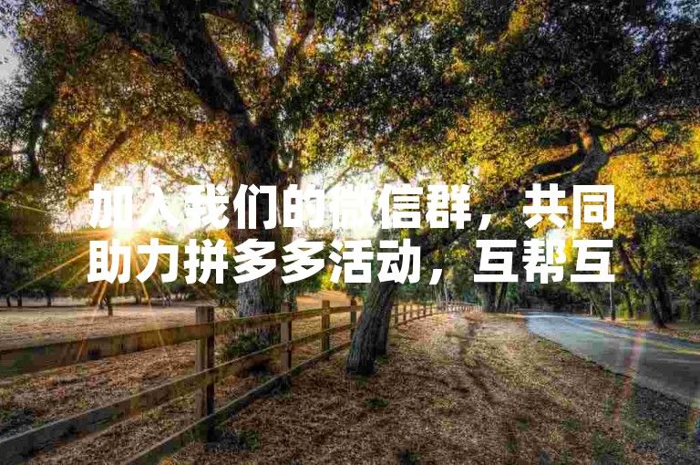 加入我们的微信群，共同助力拼多多活动，互帮互助完成助力任务。