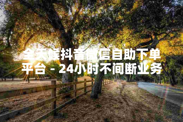 全天候抖音微信自助下单平台 - 24小时不间断业务处理服务