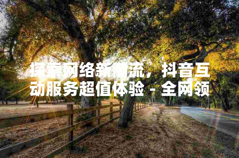 探索网络新潮流，抖音互动服务超值体验 - 全网领先价格 - ks平台24小时不间断提供抖音业务，快来下单体验不一样的精彩！