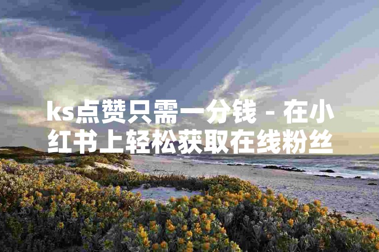 ks点赞只需一分钱 - 在小红书上轻松获取在线粉丝的平台。