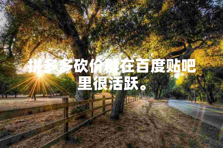 拼多多砍价群在百度贴吧里很活跃。
