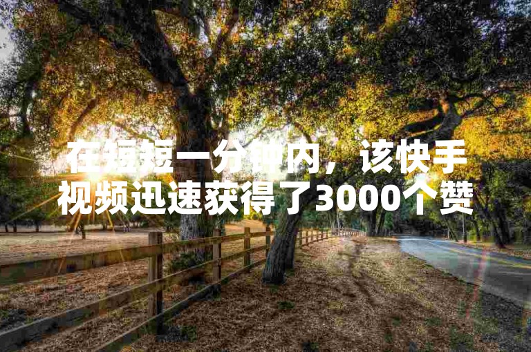 在短短一分钟内，该快手视频迅速获得了3000个赞。