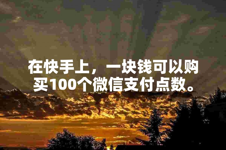 在快手上，一块钱可以购买100个微信支付点数。