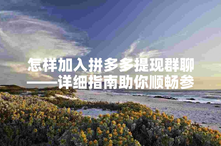 怎样加入拼多多提现群聊——详细指南助你顺畅参与