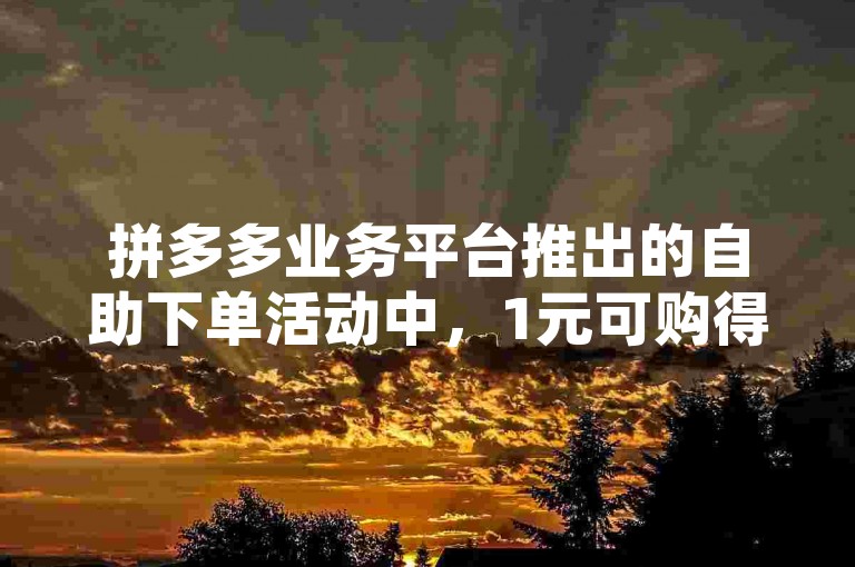 拼多多业务平台推出的自助下单活动中，1元可购得10刀（即10次砍价机会），这通常意味着通过支付1元，用户可以在多多互助网站上获得10次帮助他人砍价的机会。