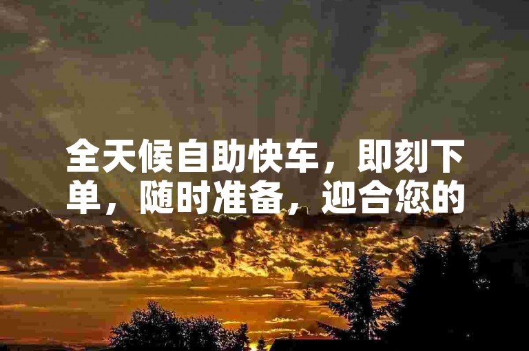 全天候自助快车，即刻下单，随时准备，迎合您的每一个需求！