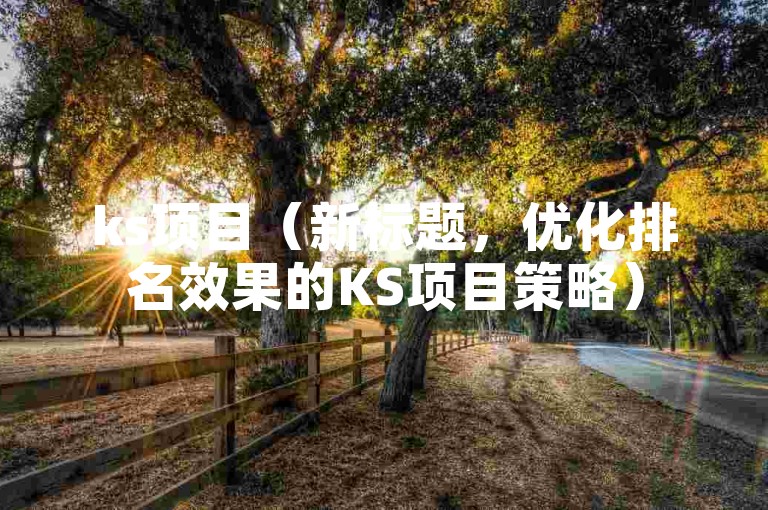 ks项目（新标题，优化排名效果的KS项目策略）