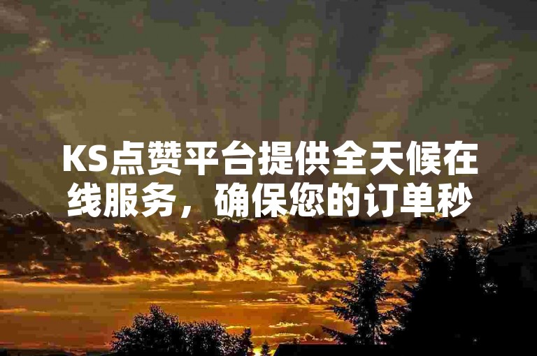 KS点赞平台提供全天候在线服务，确保您的订单秒速处理并即时到账。