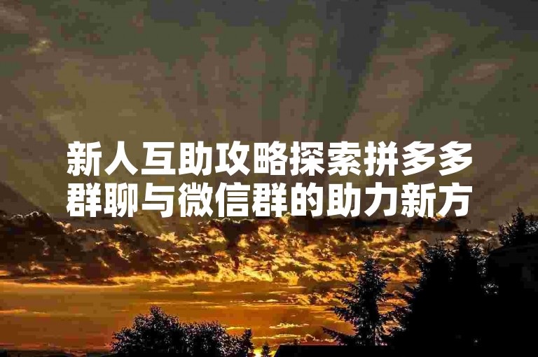 新人互助攻略探索拼多多群聊与微信群的助力新方法。