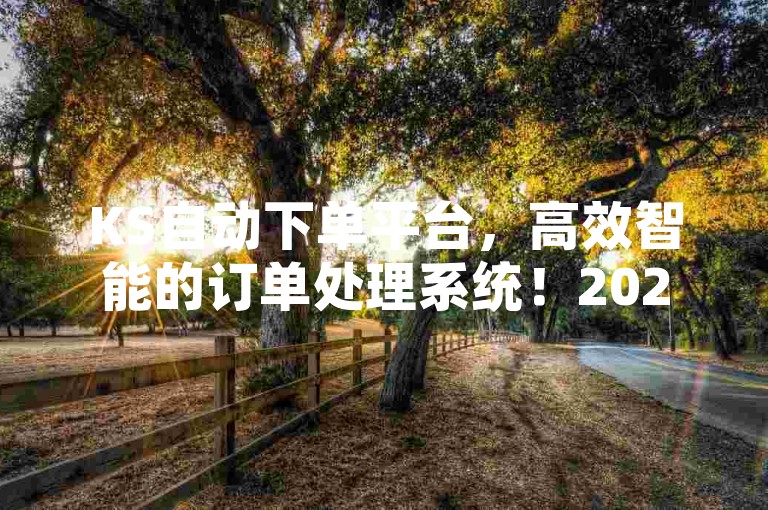 KS自动下单平台，高效智能的订单处理系统！2025必备技能。