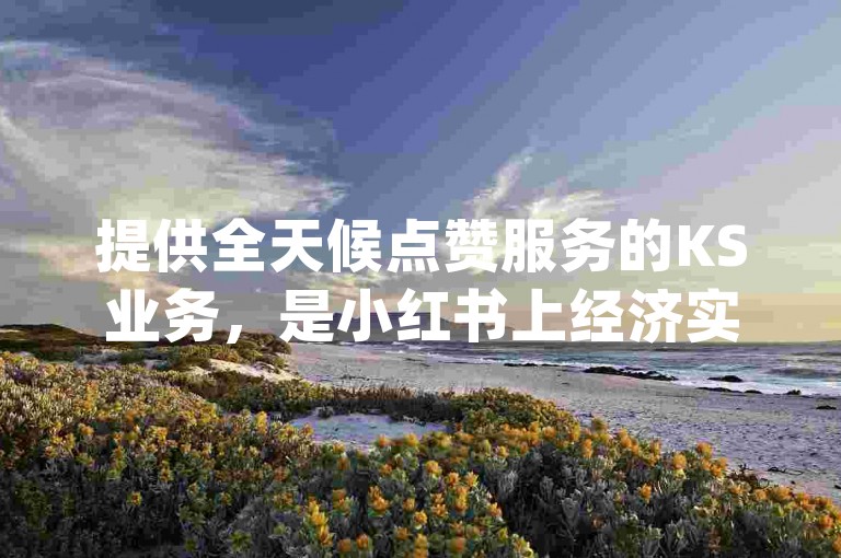 提供全天候点赞服务的KS业务，是小红书上经济实惠的粉丝增长平台，同时支持dy刷粉丝网站的自助下单功能。