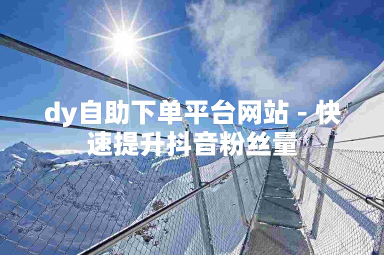dy自助下单平台网站 - 快速提升抖音粉丝量