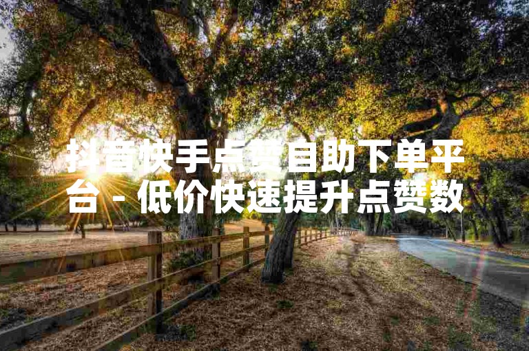 抖音快手点赞自助下单平台 - 低价快速提升点赞数