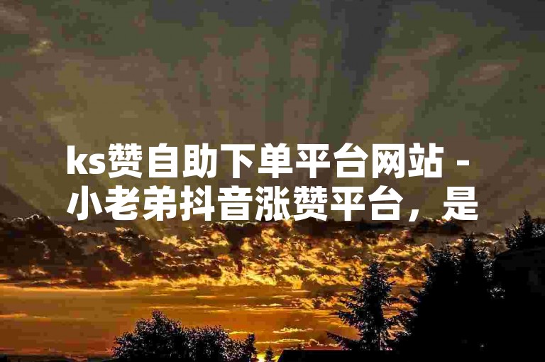 ks赞自助下单平台网站 - 小老弟抖音涨赞平台，是一个专门为抖音用户提供点赞服务的平台。
