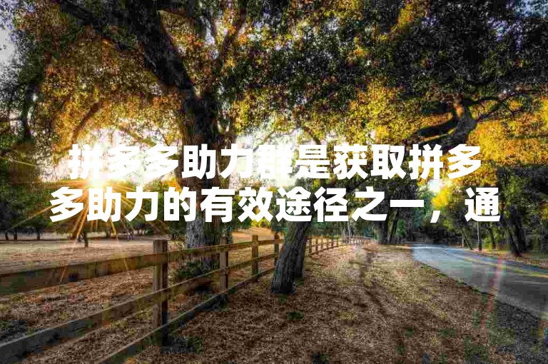拼多多助力群是获取拼多多助力的有效途径之一，通过加入该群，用户可以互相帮助完成助力任务。