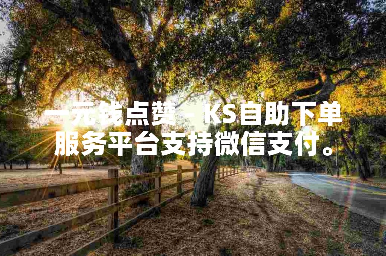 一元钱点赞 - KS自助下单服务平台支持微信支付。