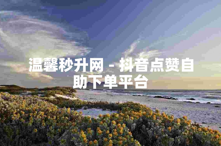 温馨秒升网 - 抖音点赞自助下单平台