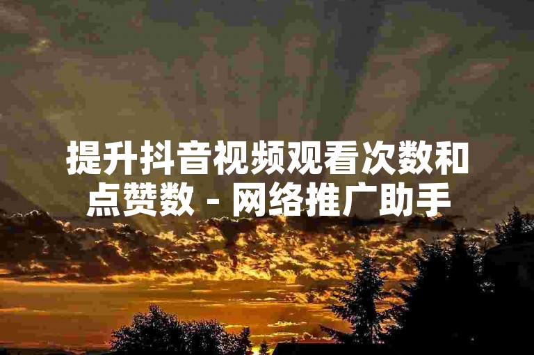 提升抖音视频观看次数和点赞数 - 网络推广助手