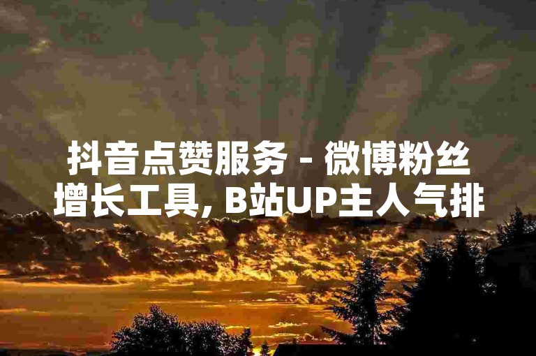抖音点赞服务 - 微博粉丝增长工具, B站UP主人气排行榜
