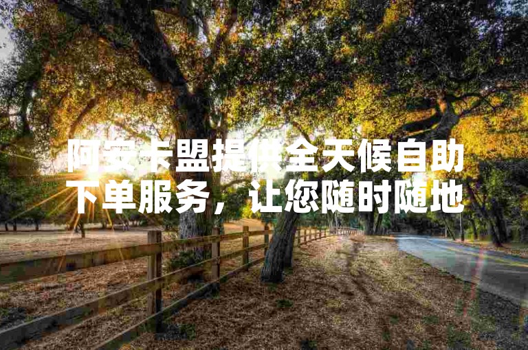 阿安卡盟提供全天候自助下单服务，让您随时随地轻松完成订单！2025年必备技能。