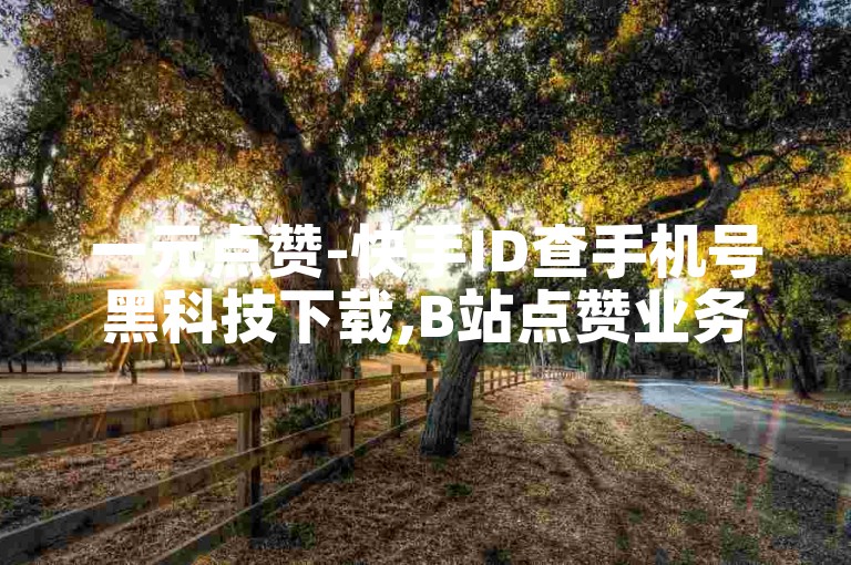 一元点赞-快手ID查手机号黑科技下载,B站点赞业务