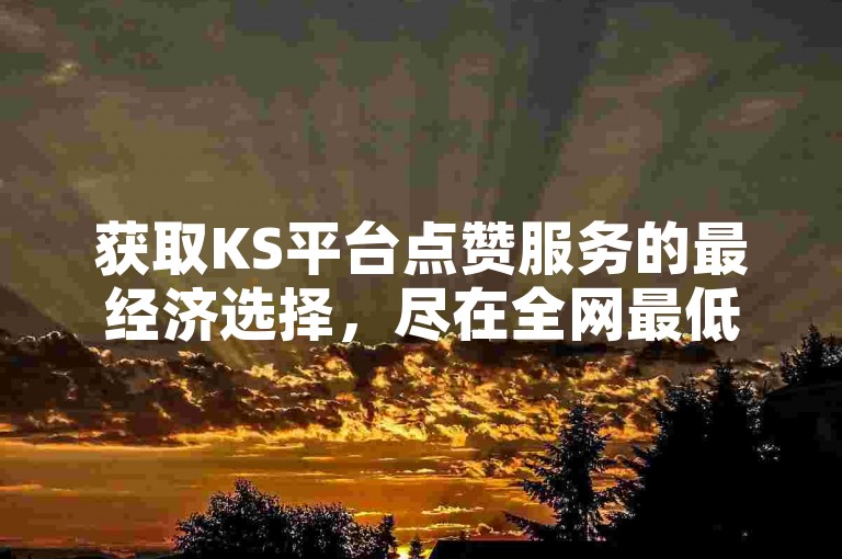 获取KS平台点赞服务的最经济选择，尽在全网最低价自助下单网站。