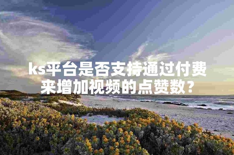 ks平台是否支持通过付费来增加视频的点赞数？
