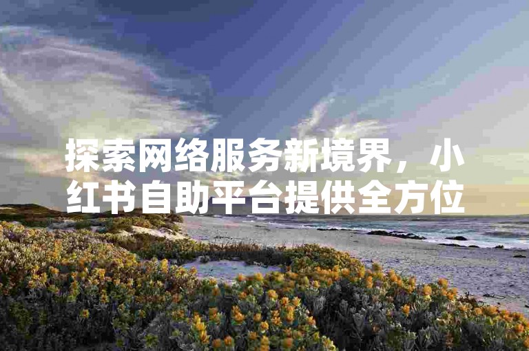 探索网络服务新境界，小红书自助平台提供全方位的社交媒体优化方案，包括QQ空间点赞与访客量提升，尽享超值优惠。
