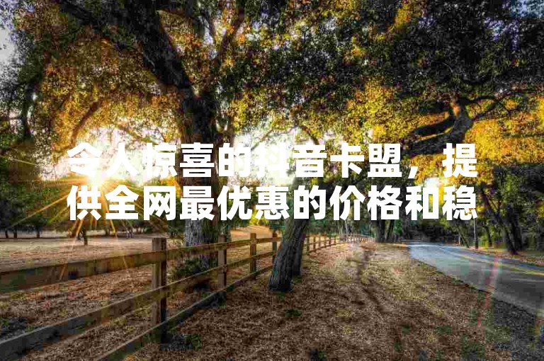 令人惊喜的抖音卡盟，提供全网最优惠的价格和稳定的服务。