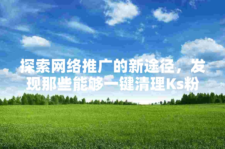 探索网络推广的新途径，发现那些能够一键清理Ks粉丝、助力拼多多以及提供QQ业务平台下载的神秘网站。