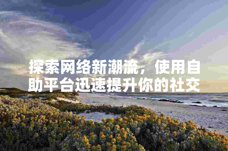 探索网络新潮流，使用自助平台迅速提升你的社交媒体影响力。