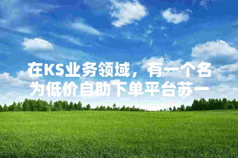 在KS业务领域，有一个名为低价自助下单平台苏一的特别存在，它有着独特的运营模式，而与之相关的还有dy平台上那个颇具特色的非人类业务员三哈。