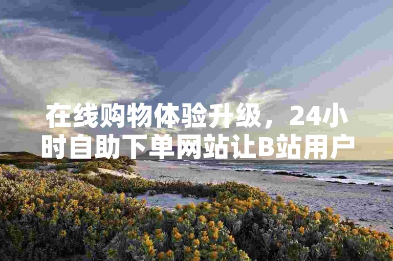 在线购物体验升级，24小时自助下单网站让B站用户随时享受便捷服务。