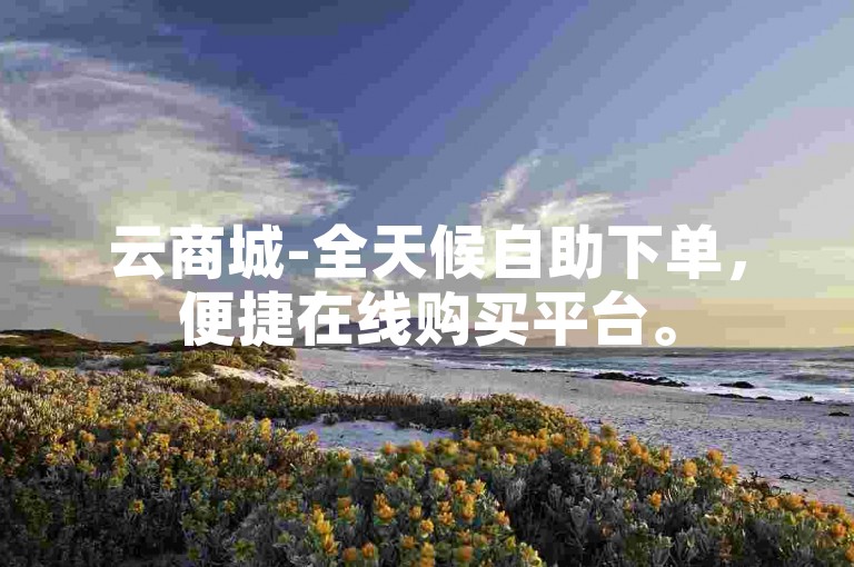 云商城-全天候自助下单，便捷在线购买平台。