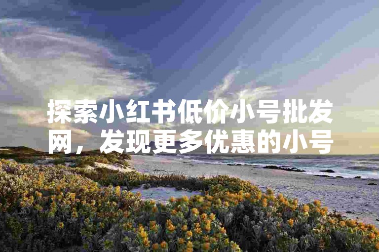 探索小红书低价小号批发网，发现更多优惠的小号资源。