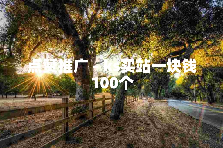 点赞推广 - ks买站一块钱100个