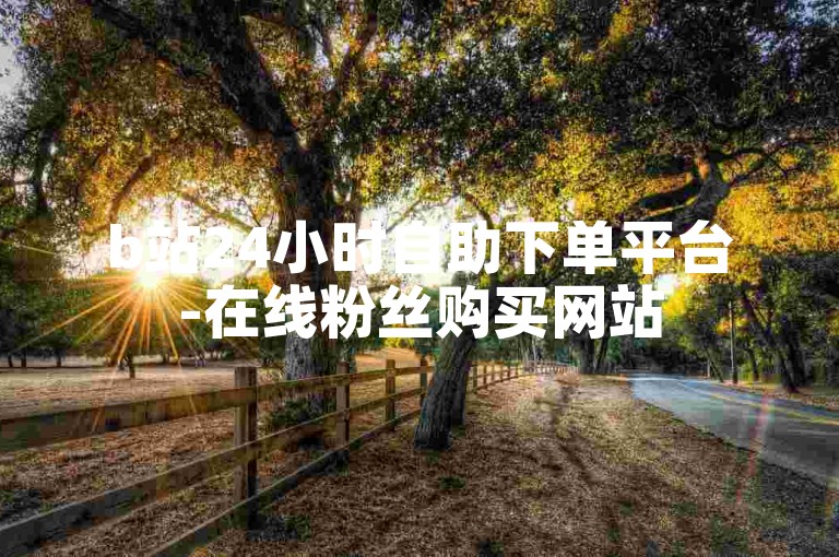 b站24小时自助下单平台-在线粉丝购买网站
