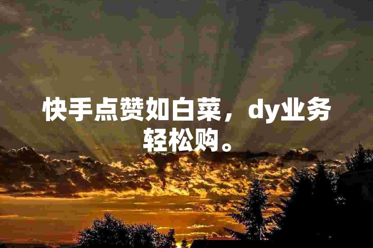 快手点赞如白菜，dy业务轻松购。