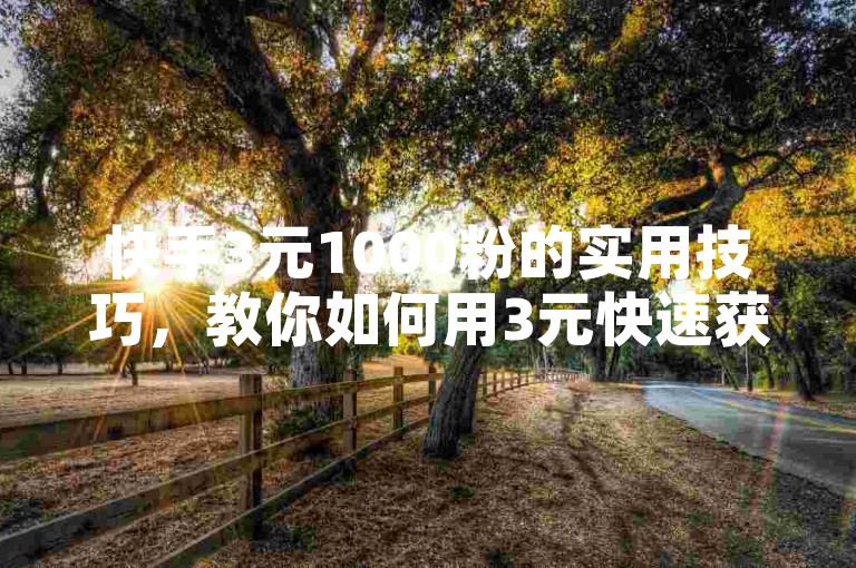 快手3元1000粉的实用技巧，教你如何用3元快速获得快手1000粉丝！新手必看！