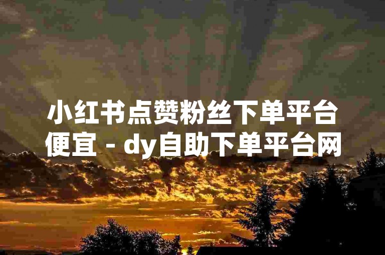 小红书点赞粉丝下单平台便宜 - dy自助下单平台网站个赞