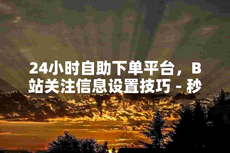 24小时自助下单平台，B站关注信息设置技巧 - 秒钻卡盟在线自助下单 - 810发卡平台注册方法。