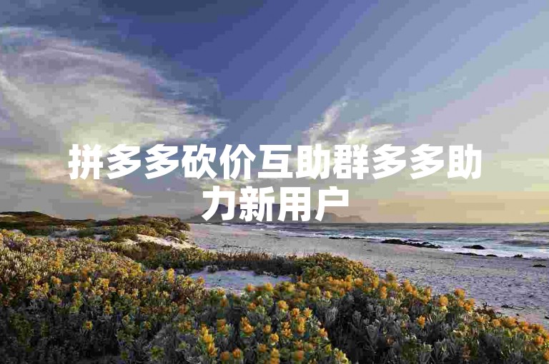 拼多多砍价互助群多多助力新用户