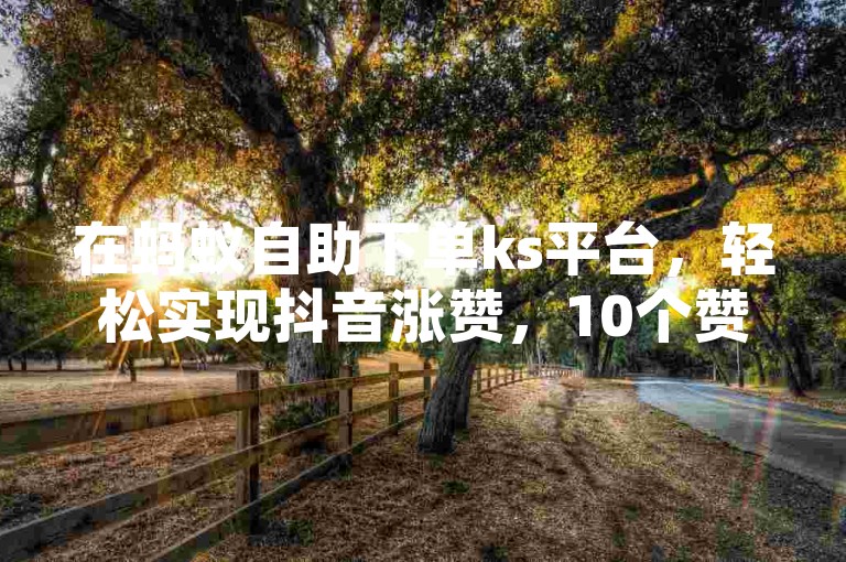 在蚂蚁自助下单ks平台，轻松实现抖音涨赞，10个赞瞬间提升视频热度。
