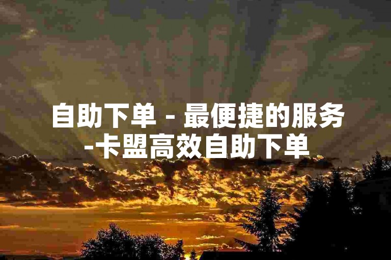 自助下单 - 最便捷的服务-卡盟高效自助下单