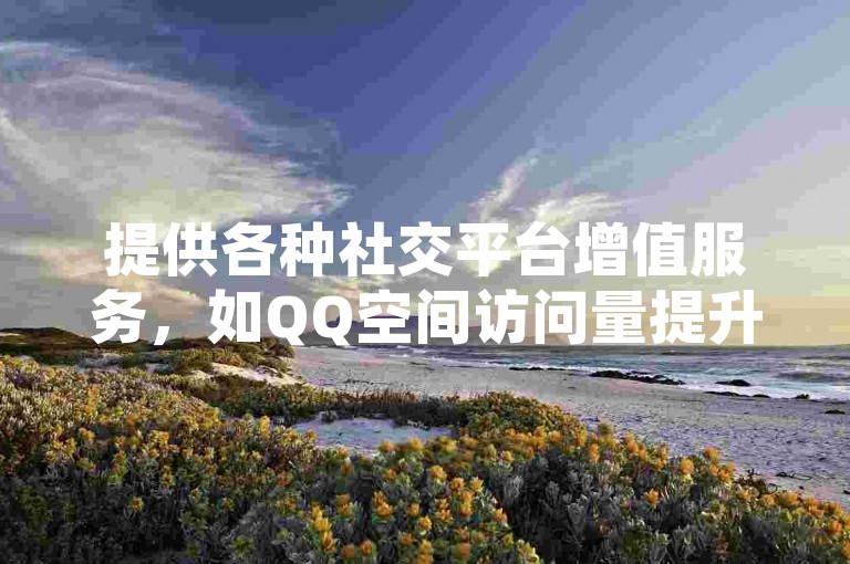提供各种社交平台增值服务，如QQ空间访问量提升、抖音粉丝增长服务以及快手账号快速发卡的在线平台。