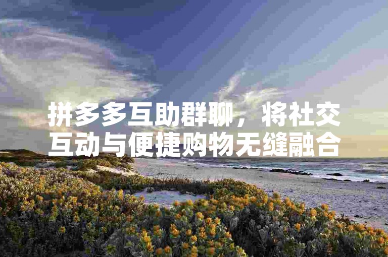 拼多多互助群聊，将社交互动与便捷购物无缝融合。