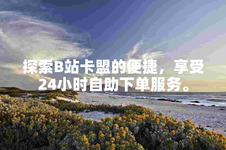 探索B站卡盟的便捷，享受24小时自助下单服务。
