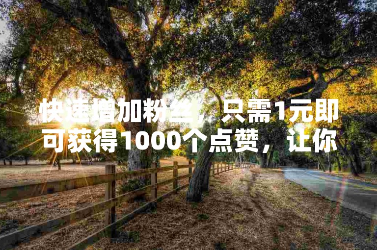 快速增加粉丝，只需1元即可获得1000个点赞，让你的社交媒体空间瞬间火爆。