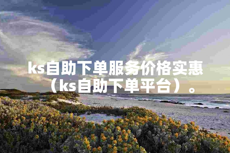 ks自助下单服务价格实惠（ks自助下单平台）。